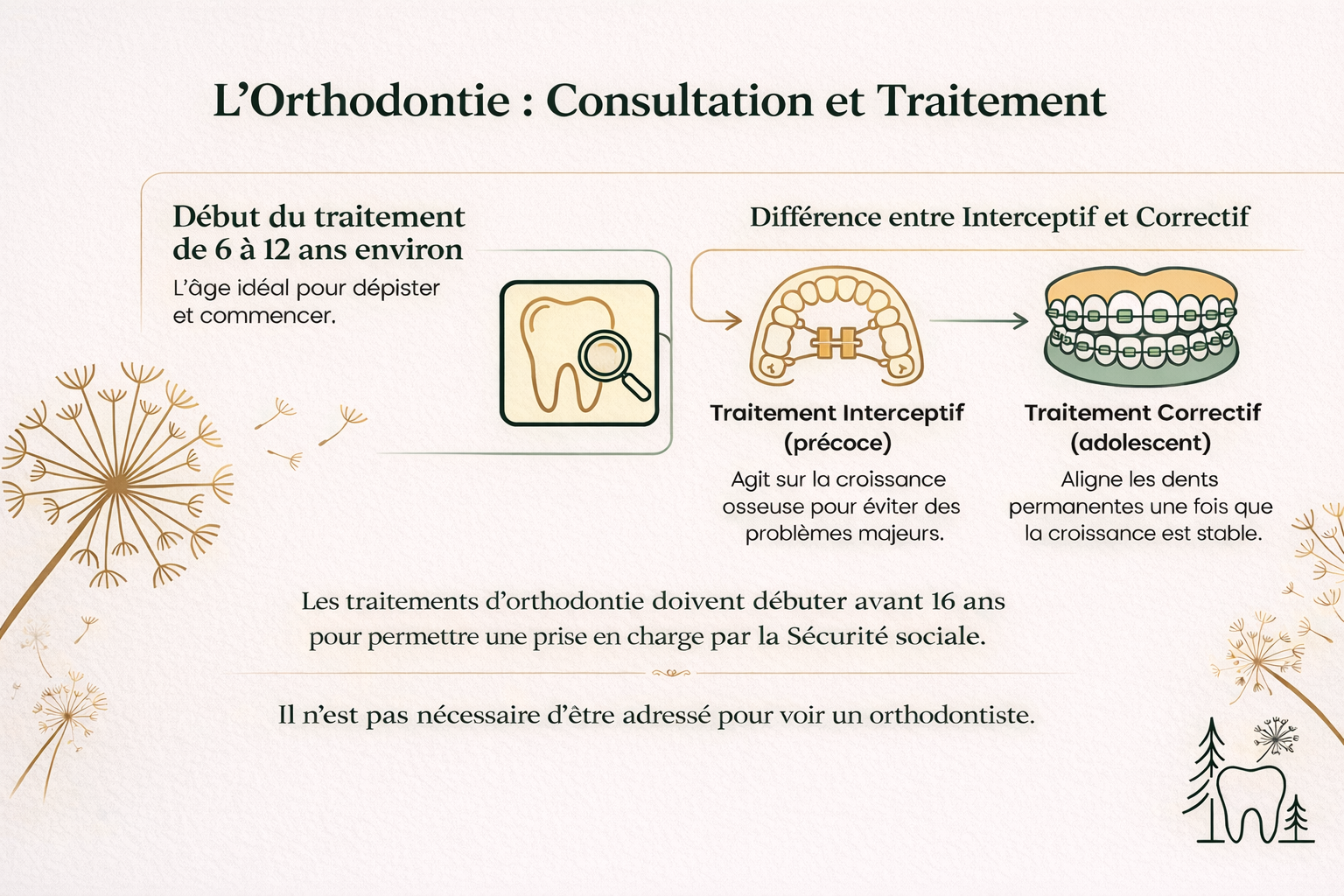 L'Orthodontie : Consultation et Traitement